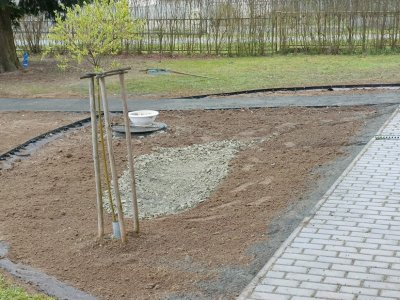 Revitalizácia verejného priestranstva - Sadové úpravy pred budovou obecného úradu v Skrabskom